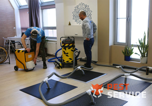 Профессиональная сушка после потопа в Белгороде от 3000 руб. Быстро устраняем влагу, предотвращаем плесень и повреждения. Современное оборудование и опытные специалисты. Безопасно и эффективно.